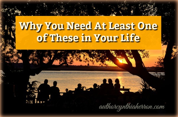 Why You Need At Least One of These in Your Life authorcynthiaherron.com
